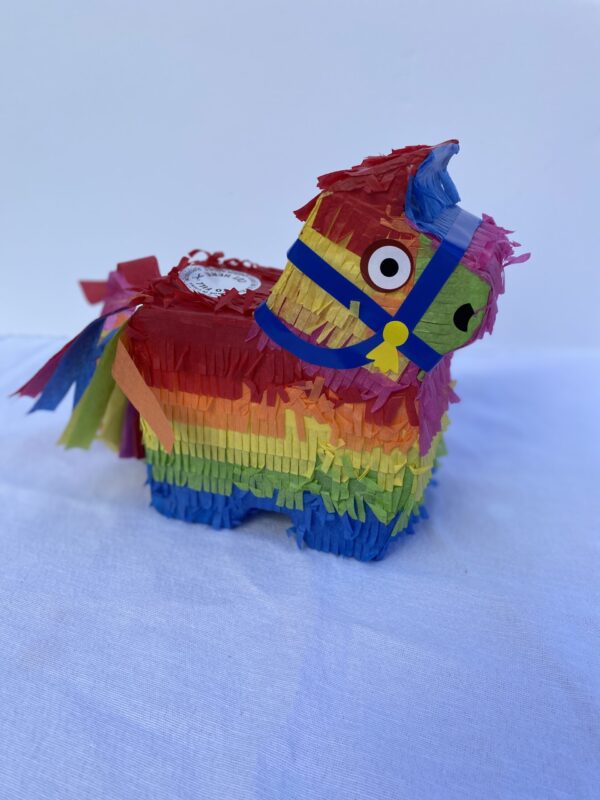 Mini Piñata Add-on - mindyKNOWS NAU - Image 5