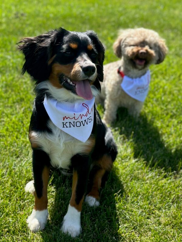 Add-On Campus Visit by Sailor & Charlie the UWMadison mindyKNOWS Mascots - mindyKNOWS Wisconsin - Image 5