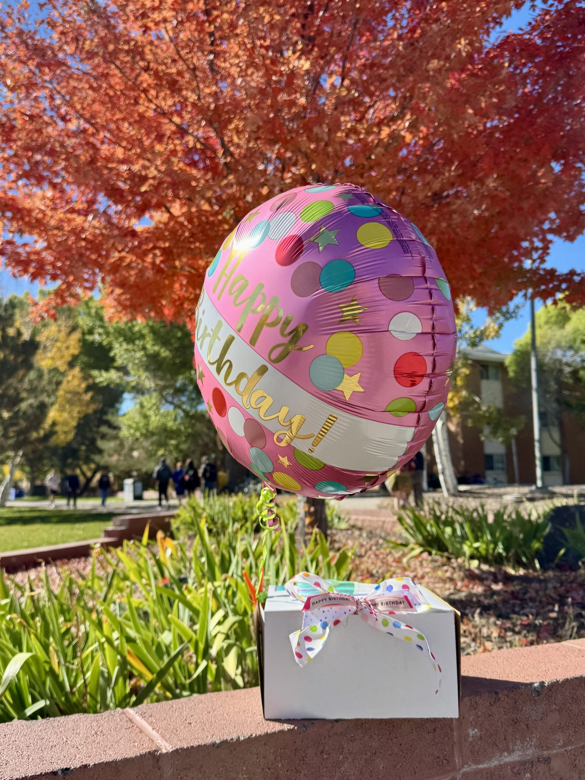 white cake box with bow and birthday balloon attached