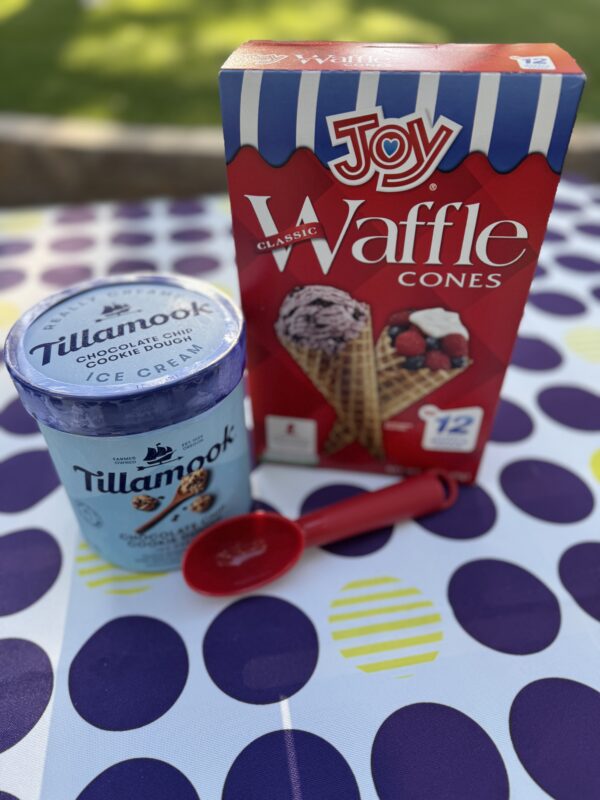 Scoop There It Is! Ice Cream Celebration Package - mindyKNOWS NAU - Image 2