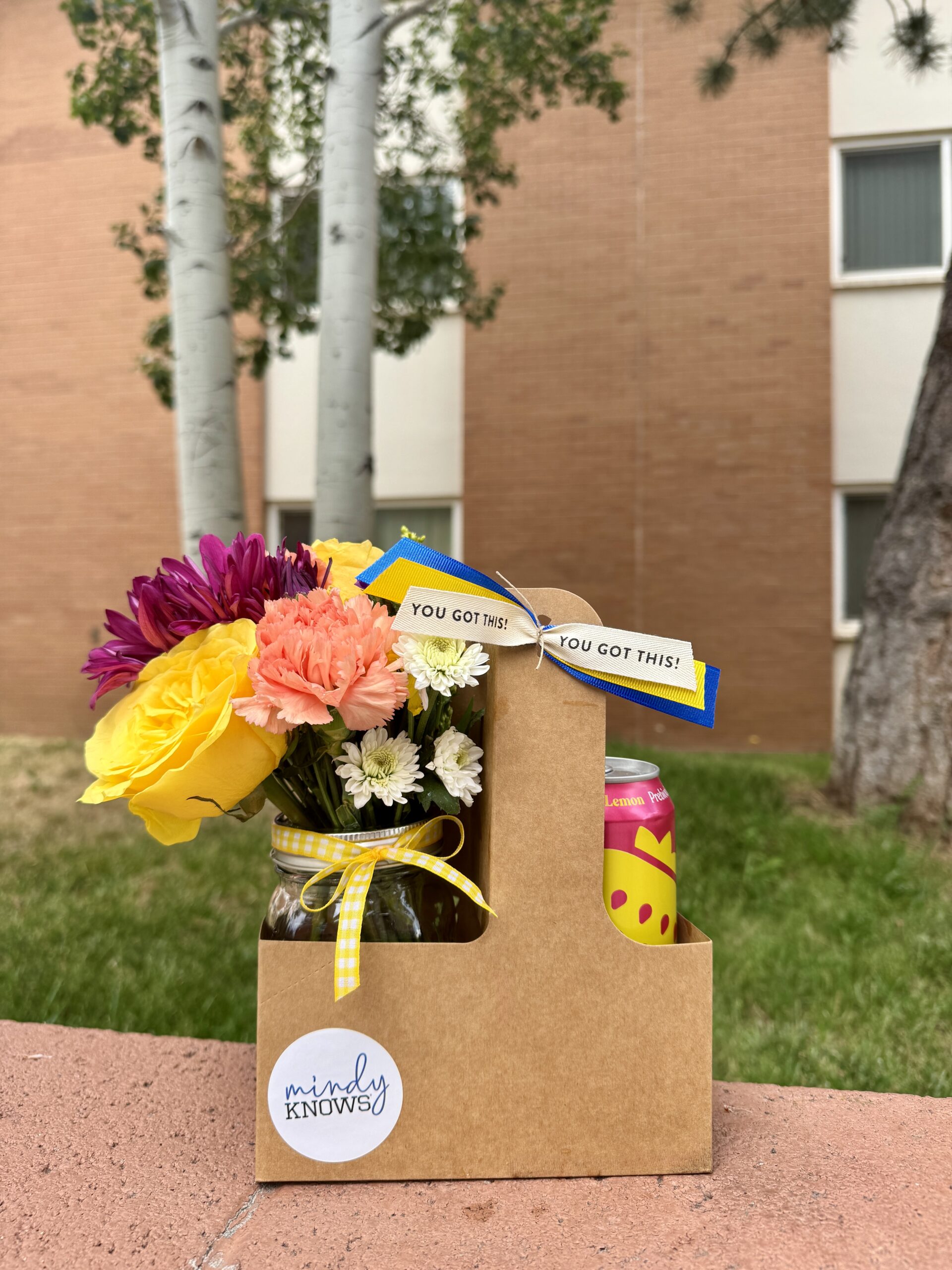 💛 Back to School Bundle - mindyKNOWS NAU