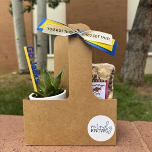 Alternative view of 💛 Back to School Bundle - mindyKNOWS NAU