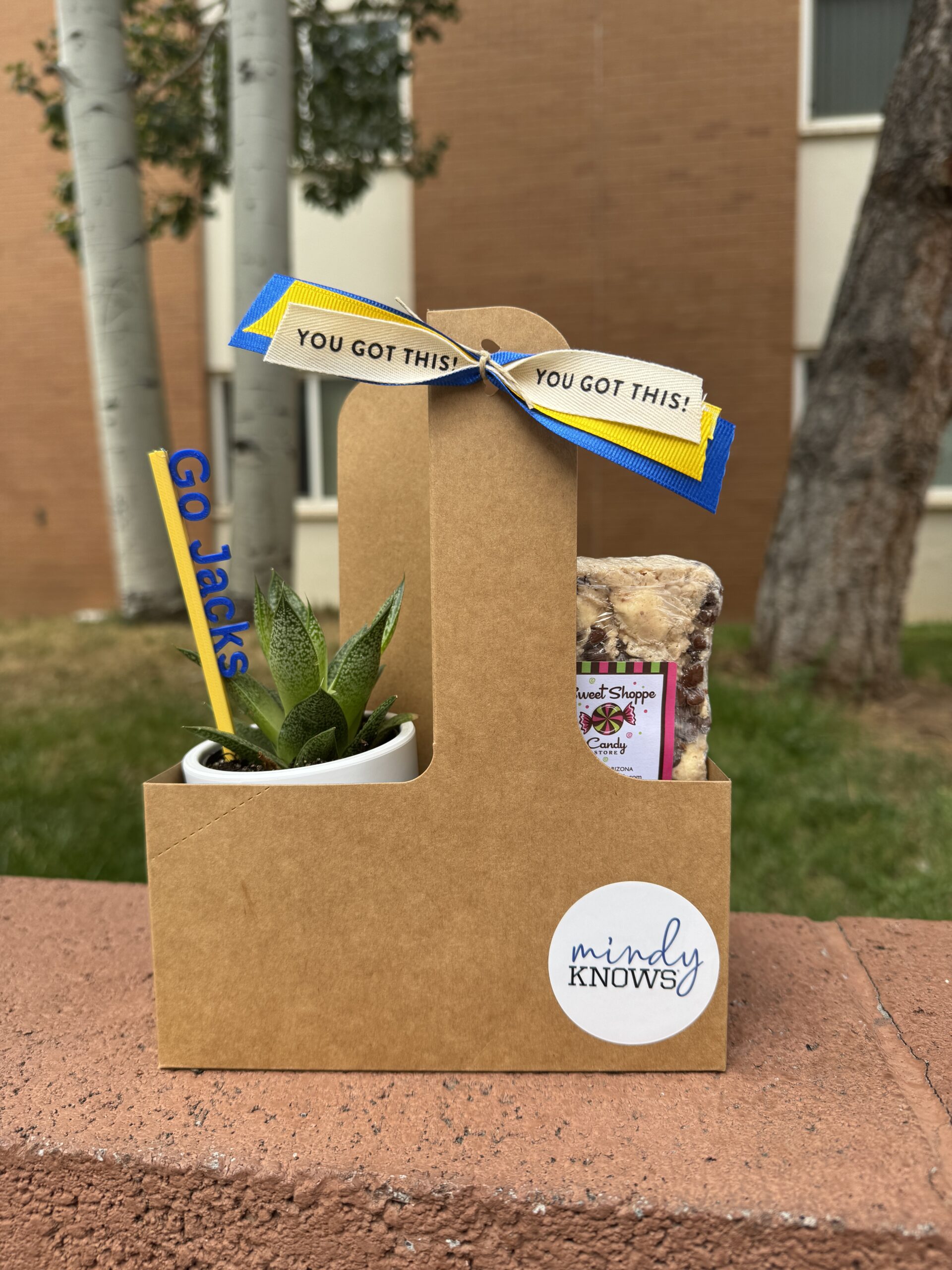 💛 Back to School Bundle - mindyKNOWS NAU - Image 2