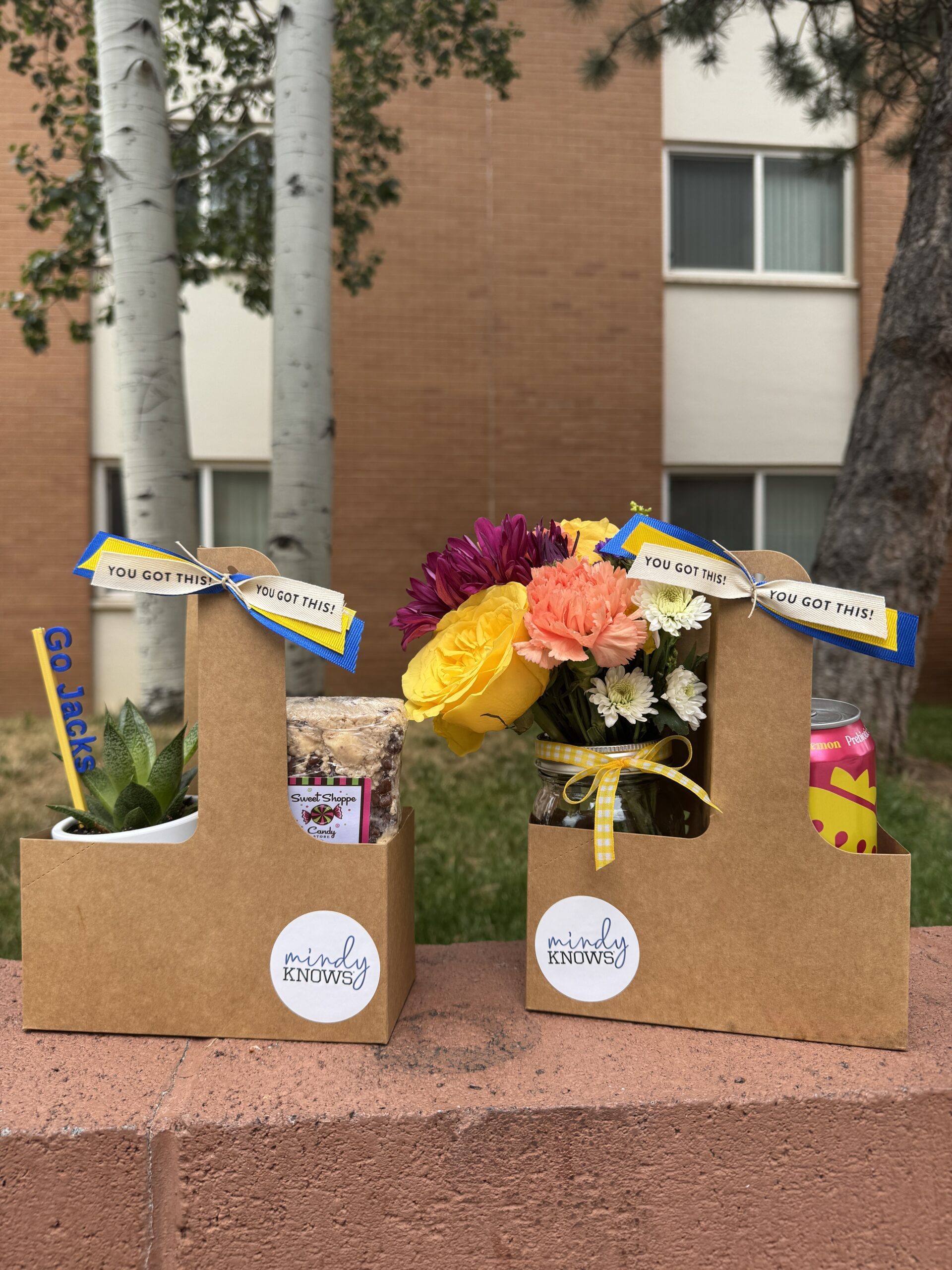 💛 Back to School Bundle - mindyKNOWS NAU - Image 3