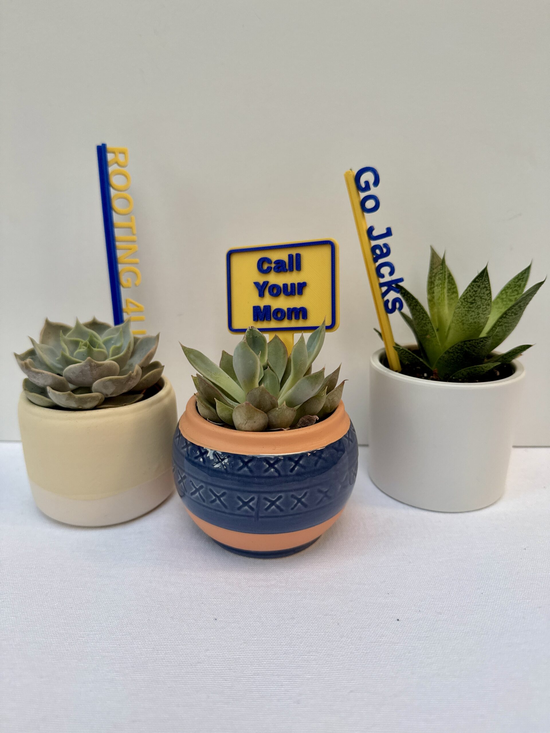 💛 Back to School Bundle - mindyKNOWS NAU - Image 4