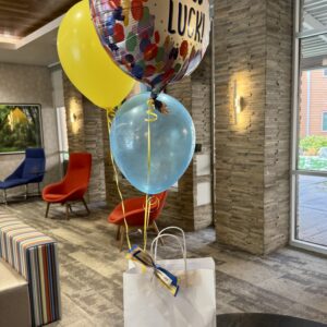 Alternative view of Balloon Add-on - mindyKNOWS NAU