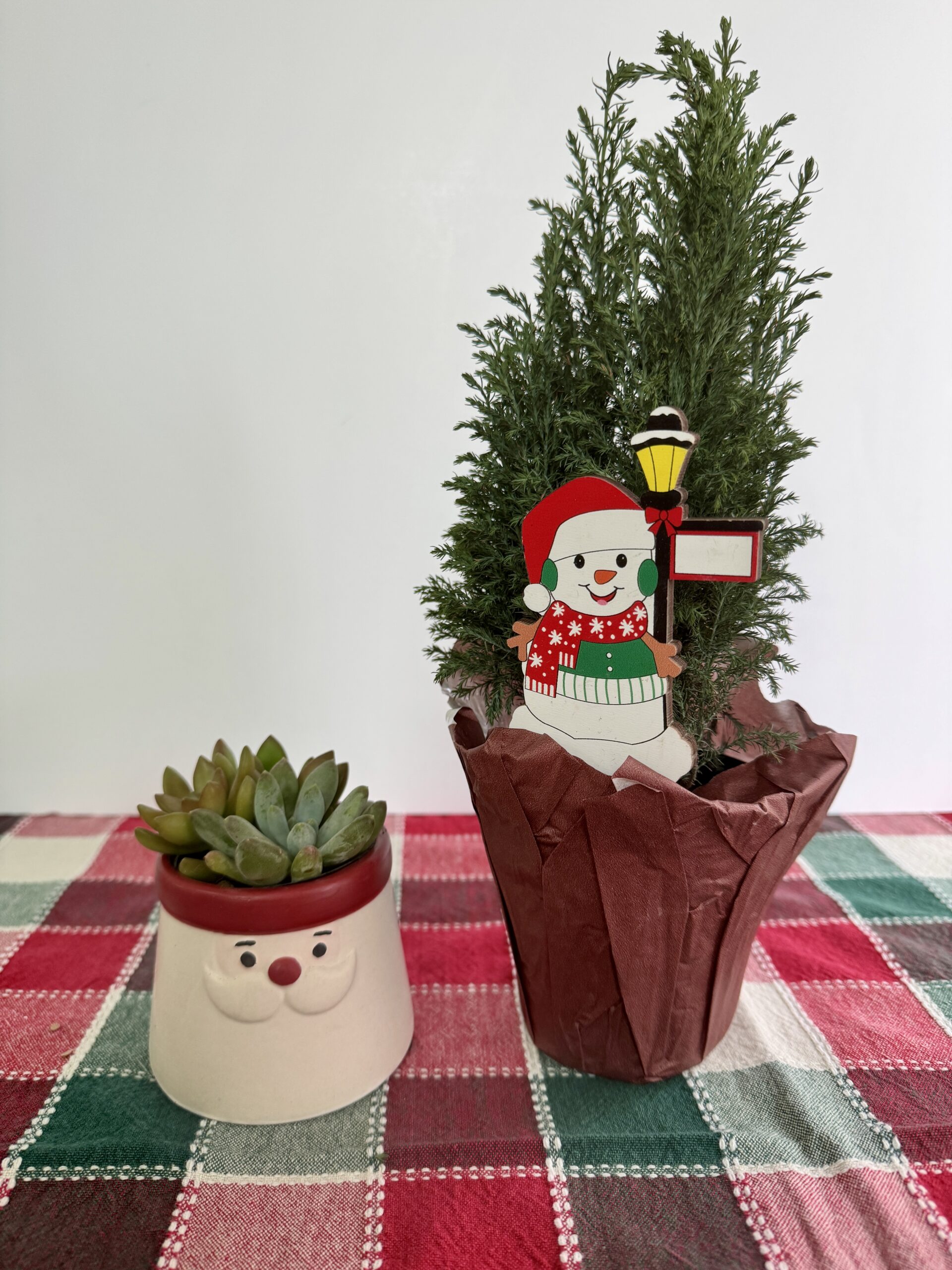 ✨Holiday Cup of Cheer Bundle - Image 3