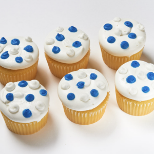 26-27 Cupcake Delivery - mindyKNOWS WashU