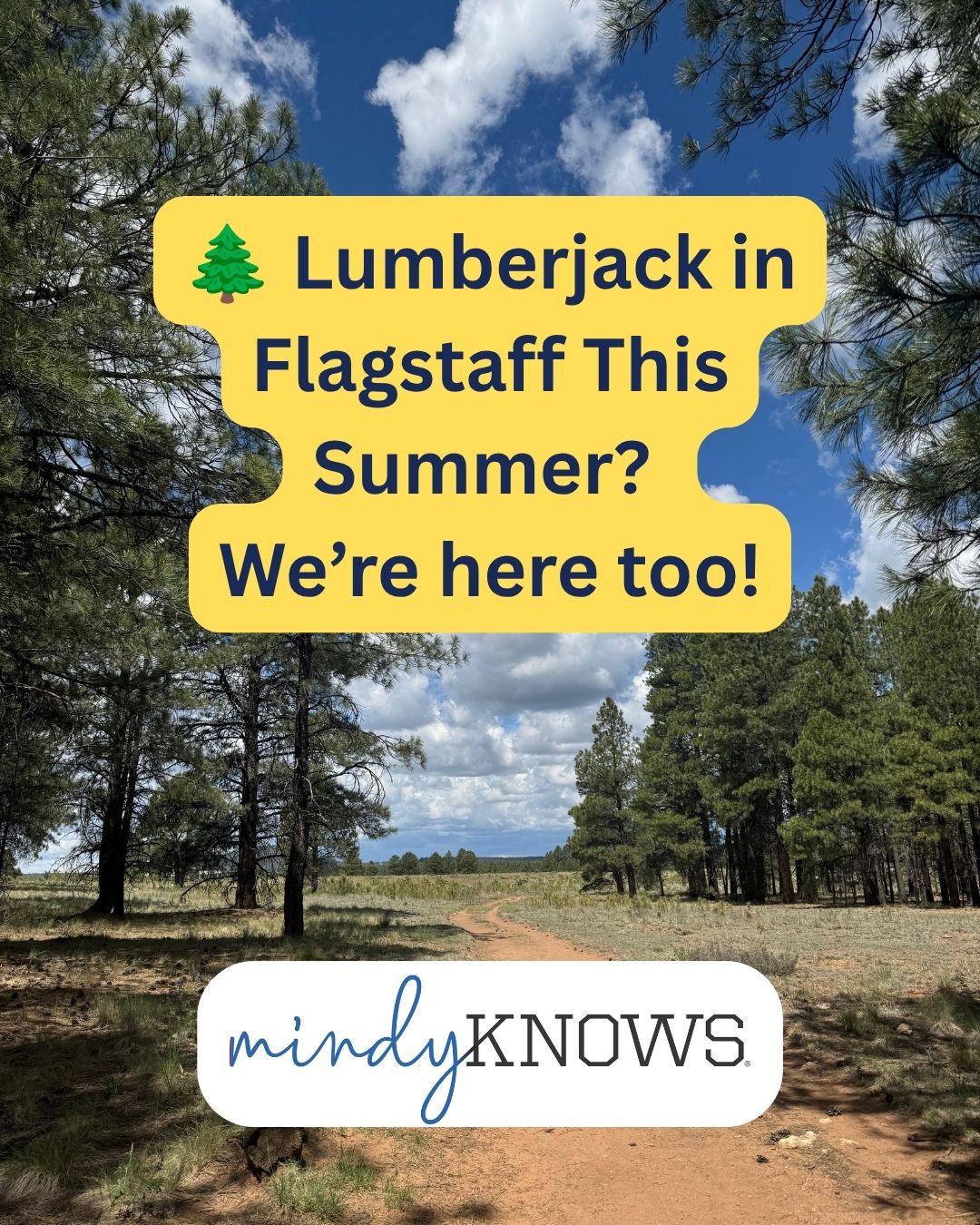 ☀️ Is Your Student in Flagstaff This Summer? So Are We!